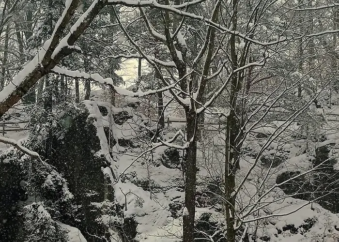 Apartment Przy Rozpadlisku